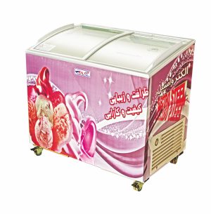 فریزرهای درب کشویی گل سرد کوچک