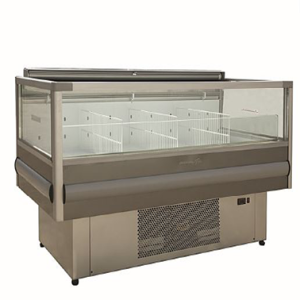 فریزر اپن شایان موتور سرخود ( دو متری )